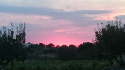 OFFERTA PUGLIA